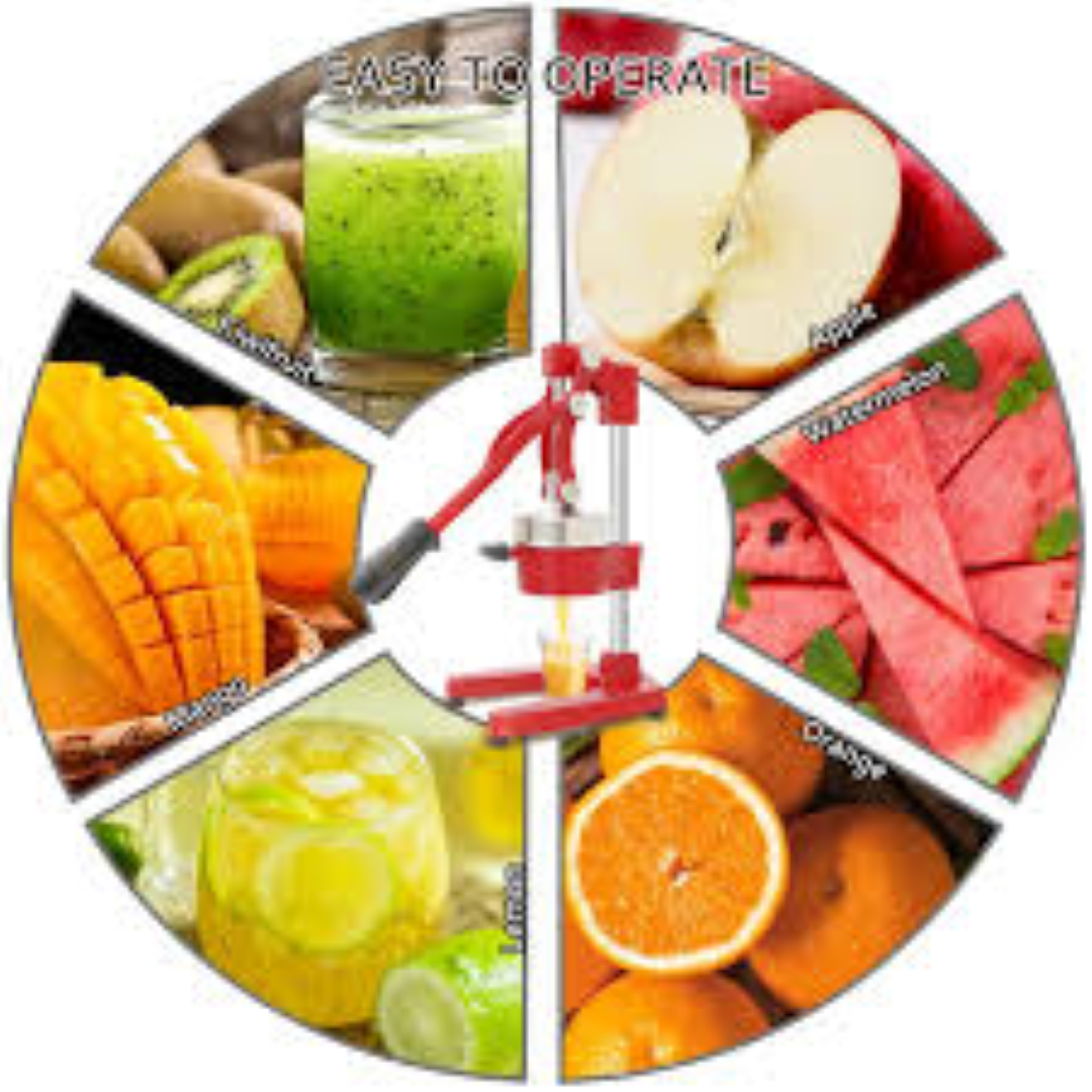 ROK JUICER JC-1